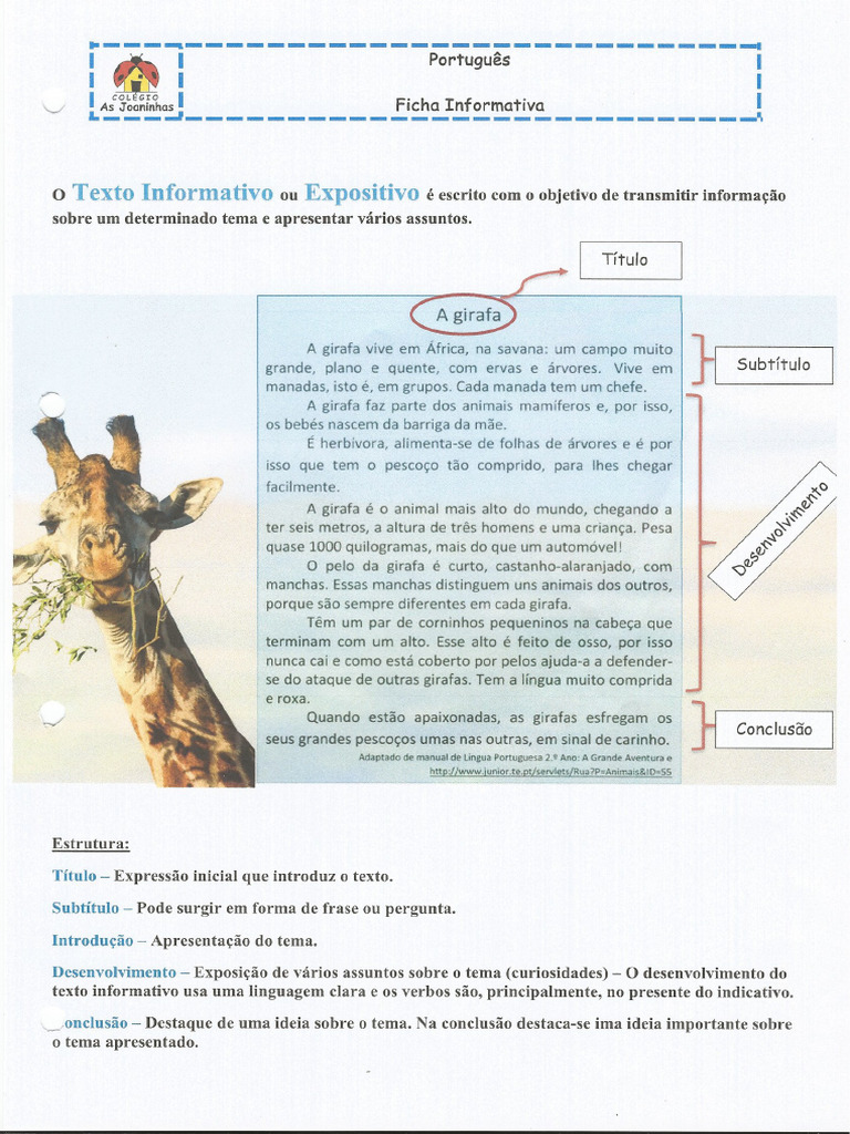 Texto Informativo | PDF