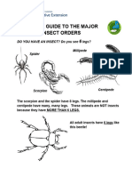 Insect Discovery Short Guide Major Insect Orders