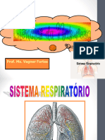 Sistema Respiratório