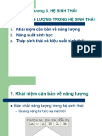 Chương 3. Hệ Sinh Thái Dòng Năng Lượng Trong Hệ Sinh Thái