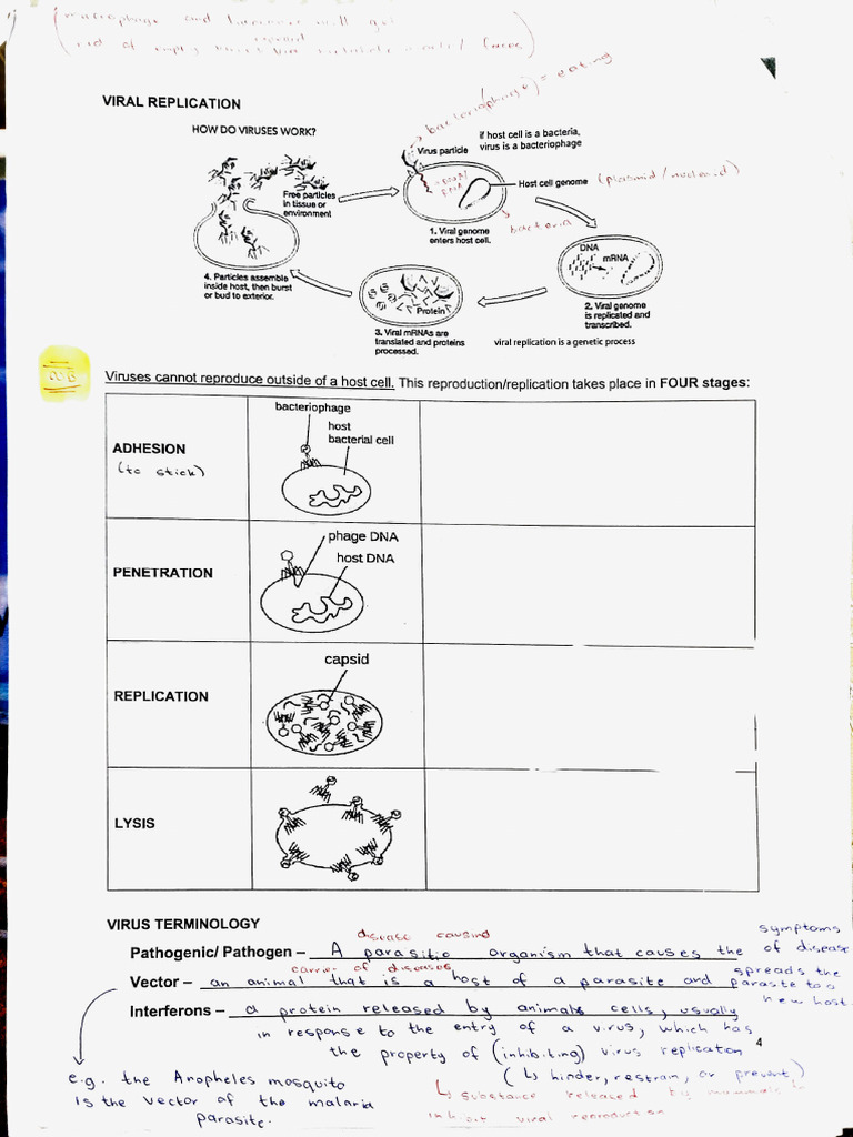 Adobe Scan 07 Feb 2024 - Biology Notes | PDF | Virus | Virology
