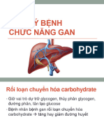 SLB CH C Năng Gan