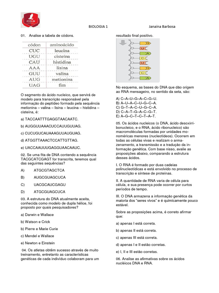 Questões sobre DNA e RNA em Biologia | PDF | RNA | DNA