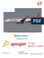 Spicejet B737-800