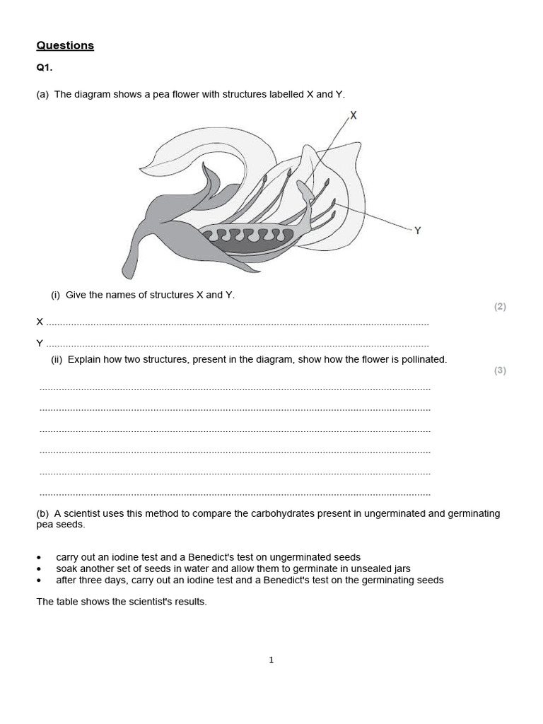 IGedex2122 2.7-2.14 Bio Mol | PDF | Cell (Biology) | Fungus