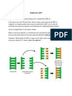 Curs 2 - Replicarea ADN(2)