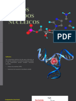 Acidos Nucleicos