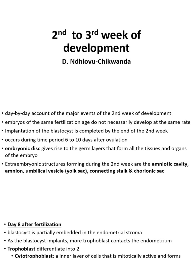 Embryonic Development: Weeks 2-3 Overview | PDF | Anatomy | Reproduction