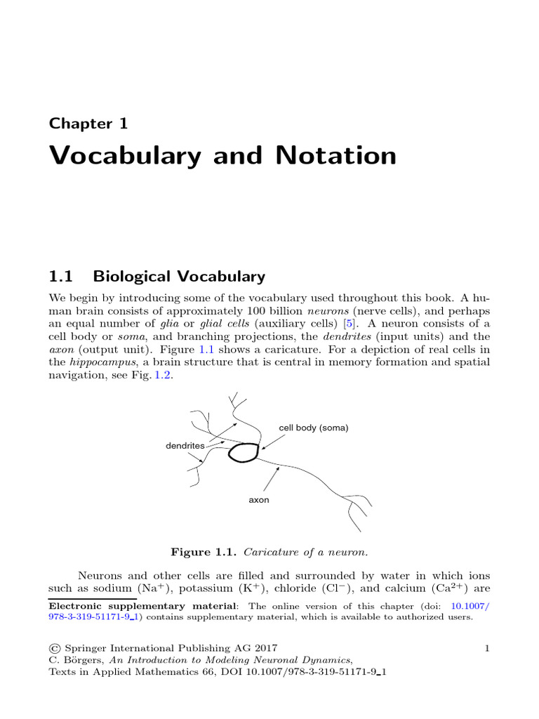 B rgers 2017 an introduction to modeling neuronal dynamics pdf