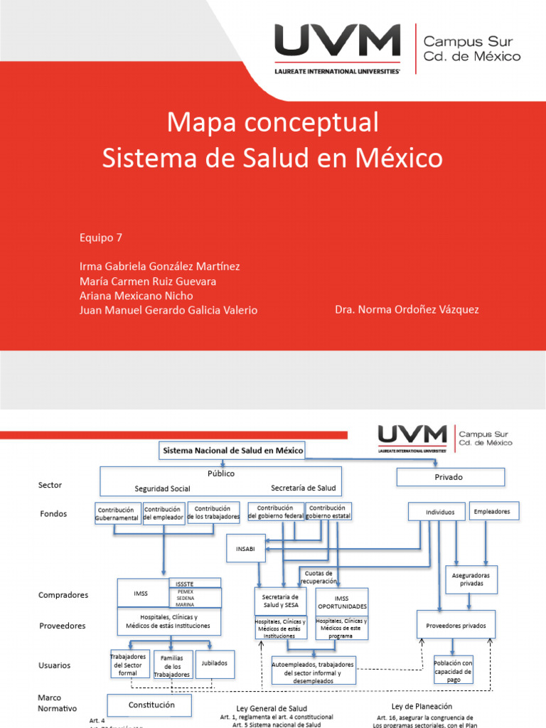 Estructura del Sistema de Salud en México | PDF | Hospital | Seguro