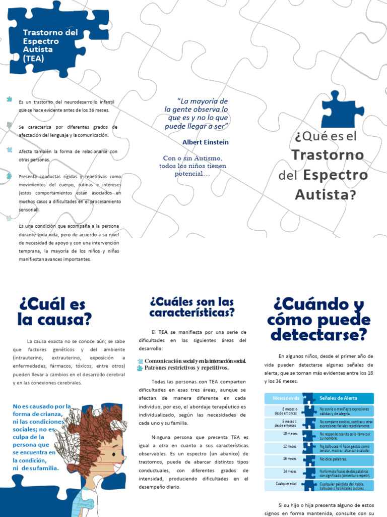 Guía sobre el Trastorno del Espectro Autista | PDF | Espectro autista ...