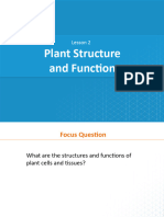 CA Lesson 02 Plant Structure and Function
