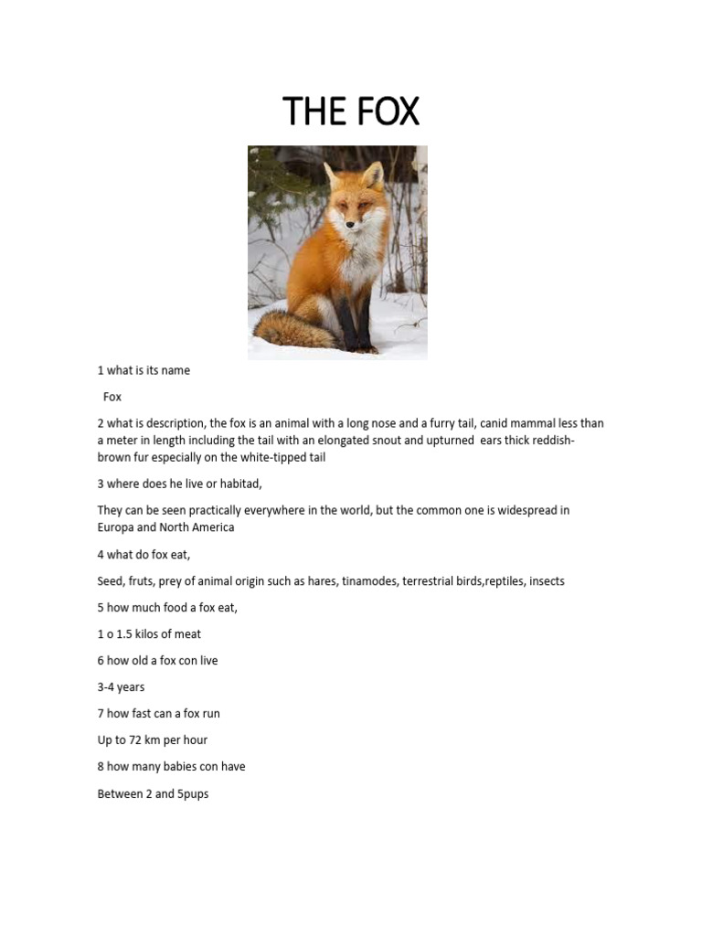 Facts About Foxes: Habitat, Diet, and More | PDF