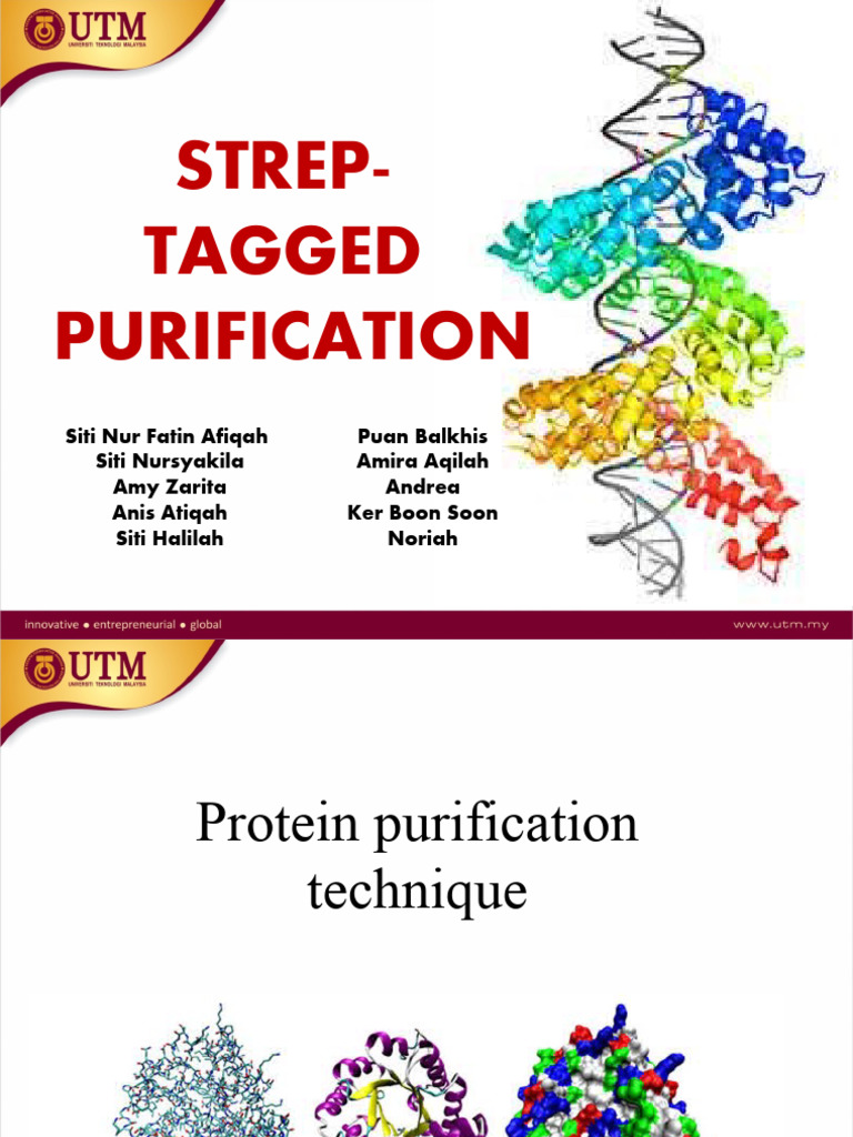 Strep Tagged Slide Presentation Full Version | PDF | Protein ...