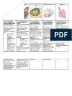 Patologias Respiratorioas en El Neonato