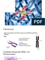 PPP Chromosomen