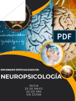 Neuropsicología PDF