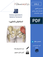 Hip-Anatomy (Lower Limb) - DR - Sobhani-98A-1st Semester
