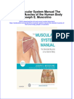 PDF The Muscular System Manual The Skeletal Muscles of The Human Body Joseph E Muscolino Ebook Full Chapter