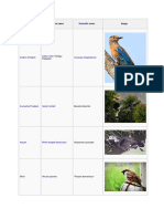 LIST OF INDIAN STATE BIRD.pdf