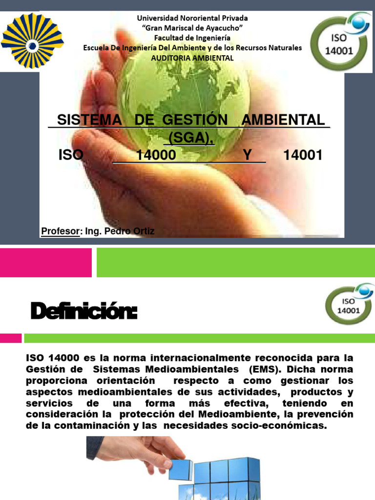 Sistema de Gestión Ambiental ISO 14001 | PDF | Organización ...
