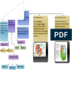 Mind Map Biologi 1