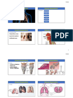 Sistema Respiratorio PPT (Salvo Automaticamente)