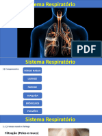 Sistema Respiratorio PPT