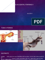 Doenças Do Aparelho Genital Feminino II