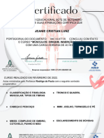 Certificado Musculo, Origem, Inserção