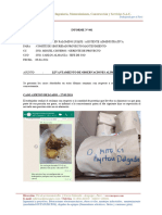Informe de Retención de Materiales - Alvaro Santos Calcina