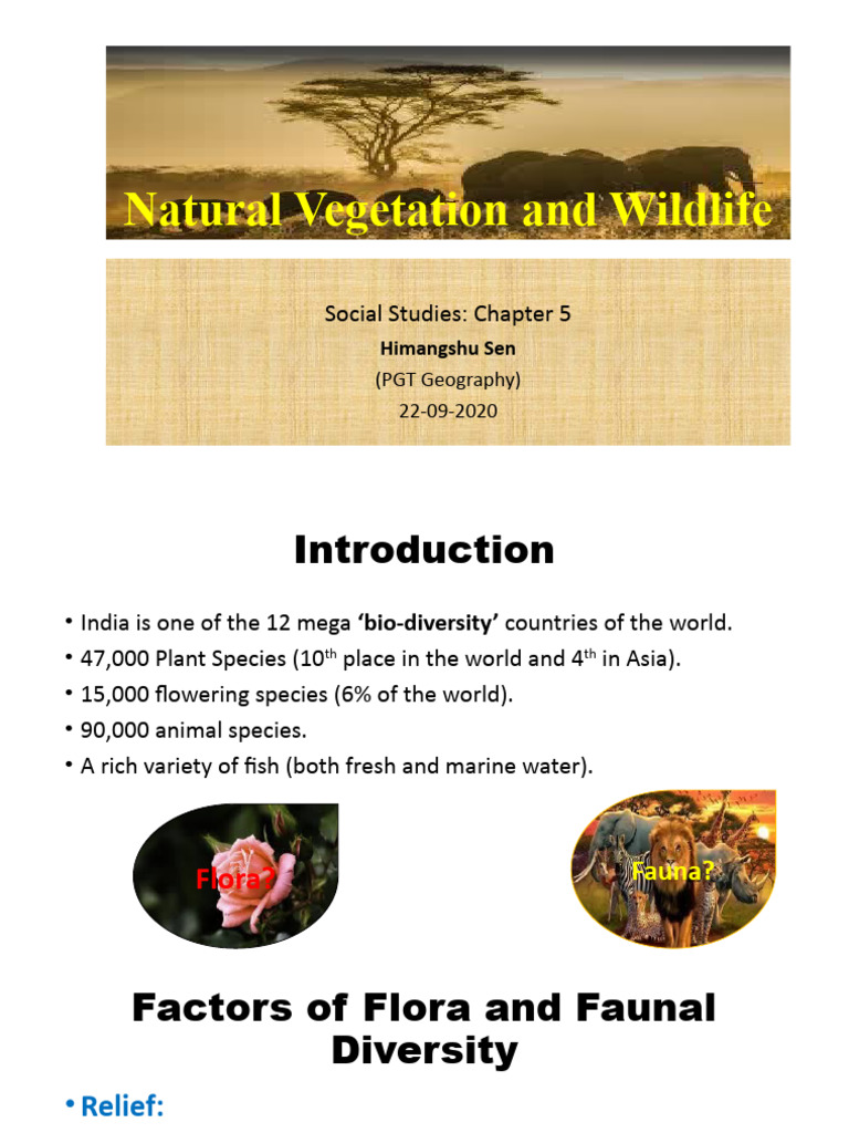Introduction to India's Natural Vegetation | PDF | Forests