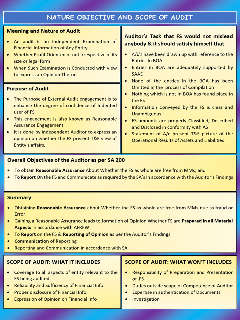 Nature and Scope of Audit Explained | PDF | Audit | Financial Audit