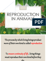 Reproduction in animals-PART 1