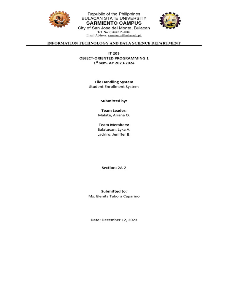 IT 203 Object-Oriented Programming Project | PDF
