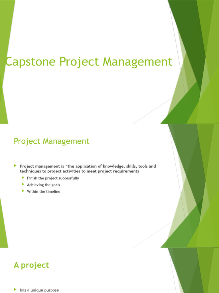 Effective Project Management Strategies | PDF | Art | Computers