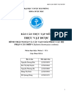 Tổ 1-Nhóm 2-Cây Diếp Cá