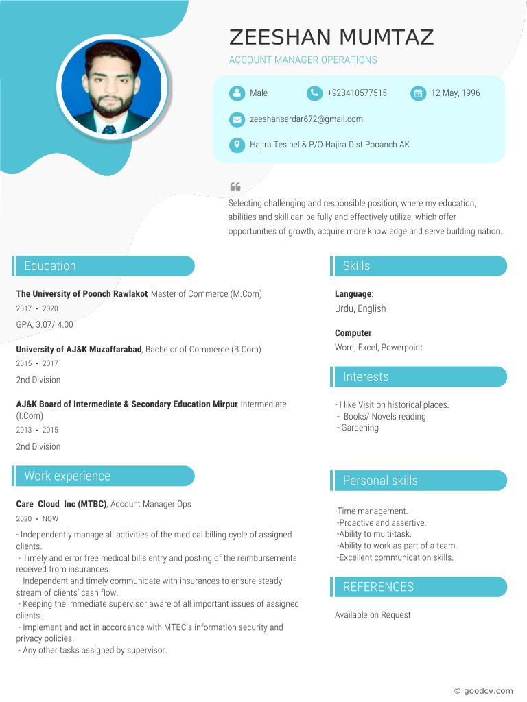 Account Manager Profile Summary | PDF