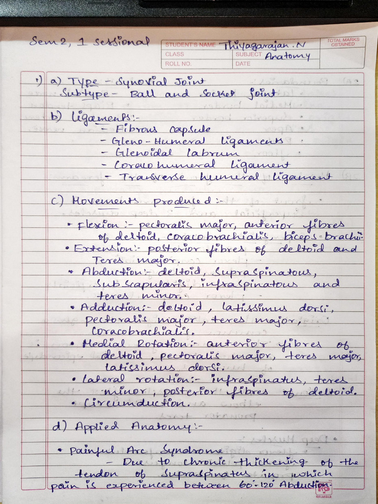 Anatomy Pdf