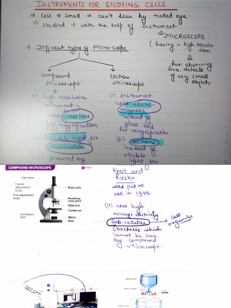 Cell-The Fundamental Unit of Life | PDF | Cell Biology | Microscopy