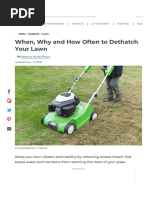 What is the Purpose of Dethatching: Essential Lawn Care Explained