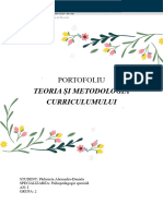 Curriculum Portofoliu