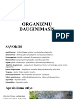 Anizmų Dauginimasis