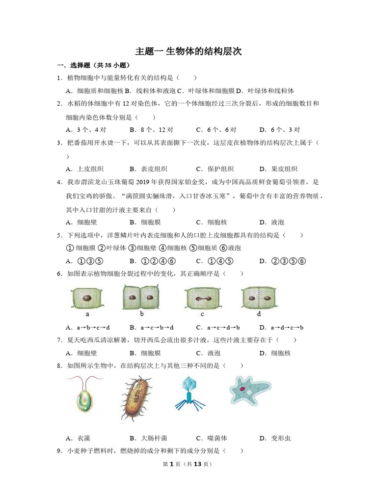 生物体结构层次练习| PDF, image size:768x1024