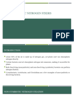 10-NOn-symbiotic Nitrogen T Fixers-3