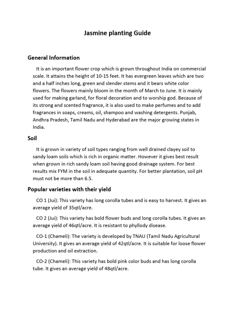 JASMINE FLOWER PLANTING GUIDE intelligence overview