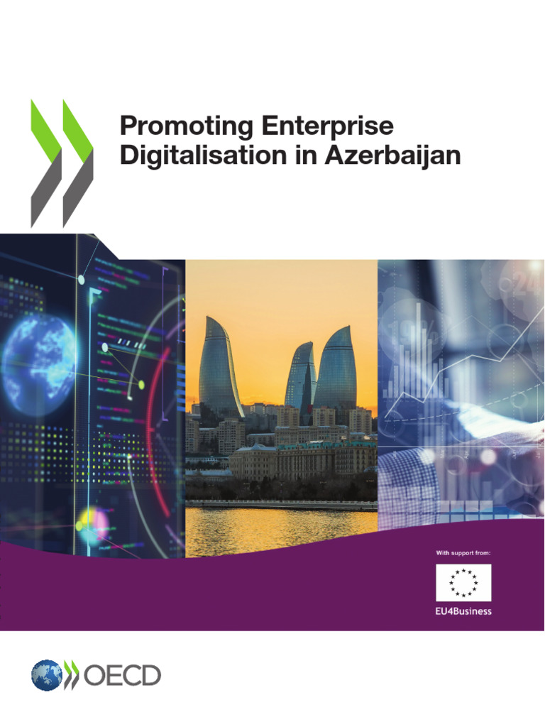 Azerbaijan's SME Digitalisation Strategy | PDF | Small And Medium Sized ...