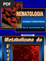 Anemia Ferropriva
