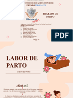 Trabajo de Parto