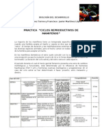 Practica de Ciclos Re Product Ores de Mamiferos